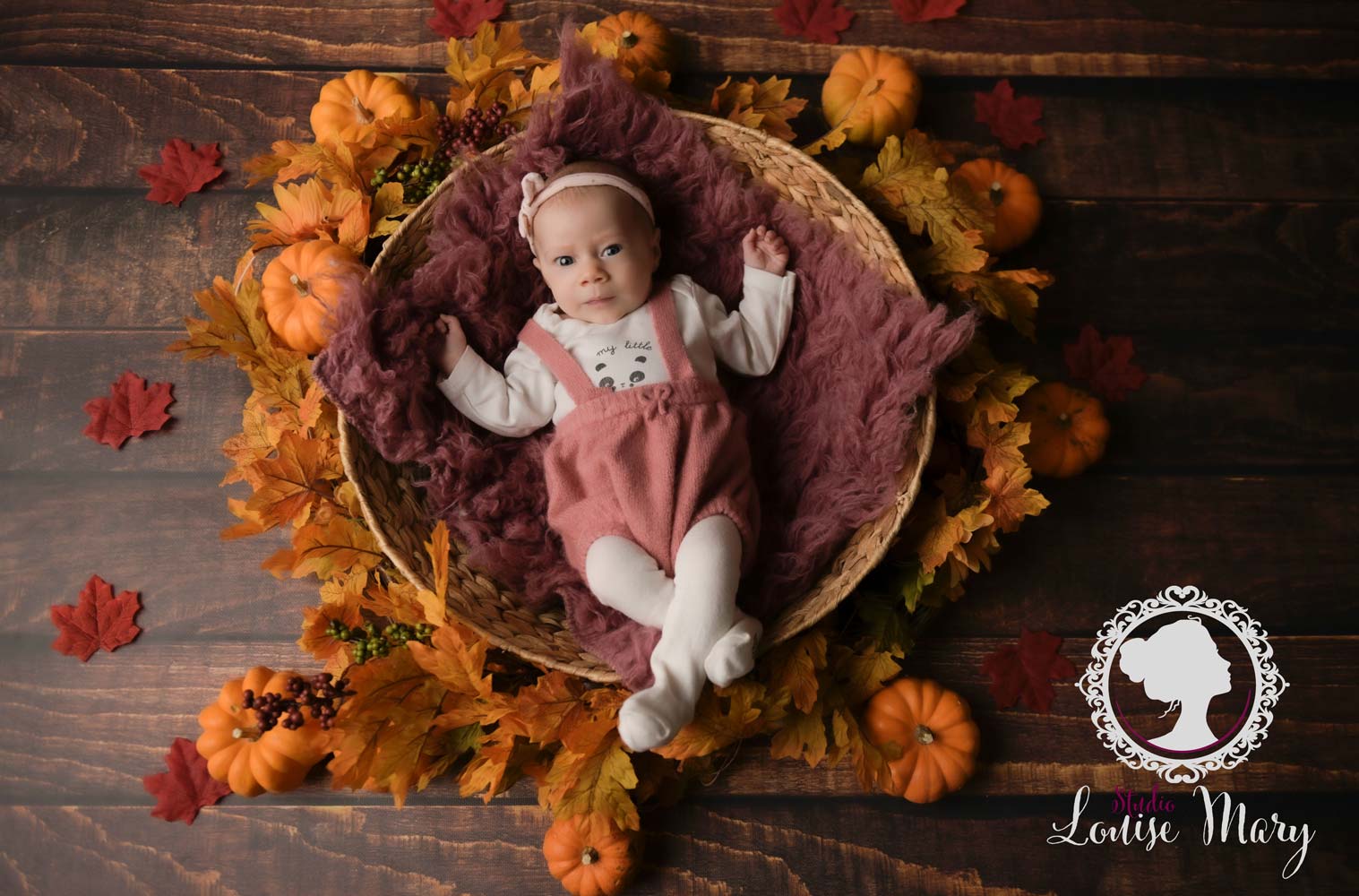 Photo de bébé studio